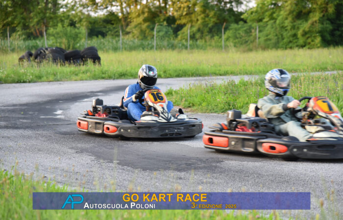 Go Kart Race 25-201