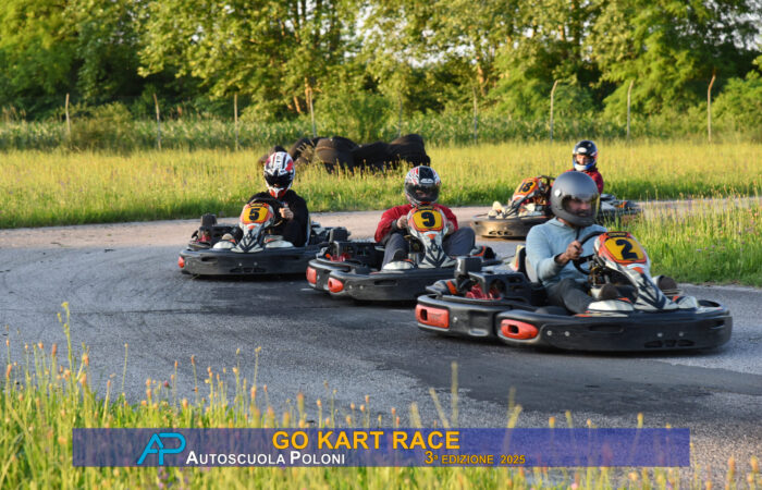 Go Kart Race 25-84